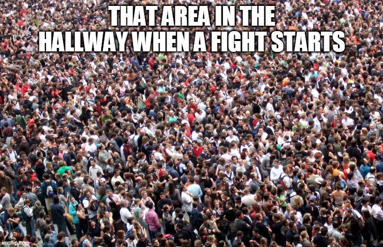 crowd of people | THAT AREA IN THE HALLWAY WHEN A FIGHT STARTS | image tagged in crowd of people | made w/ Imgflip meme maker
