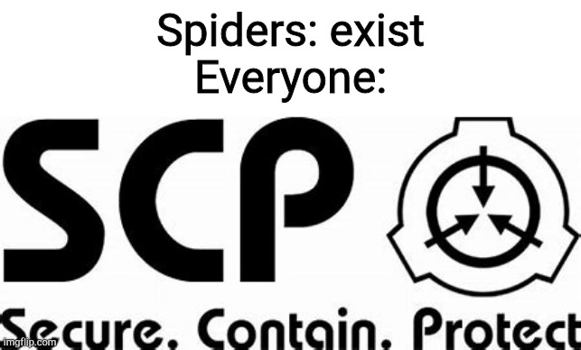 SCP | Spiders: exist
Everyone: | image tagged in scp | made w/ Imgflip meme maker