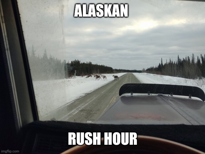 Alaska | ALASKAN; RUSH HOUR | image tagged in memes | made w/ Imgflip meme maker