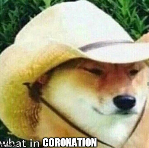 What in tarnation dog | CORONATION | image tagged in what in tarnation dog | made w/ Imgflip meme maker