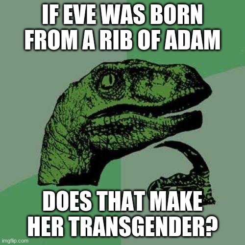 Philosoraptor | IF EVE WAS BORN FROM A RIB OF ADAM; DOES THAT MAKE HER TRANSGENDER? | image tagged in memes,philosoraptor | made w/ Imgflip meme maker