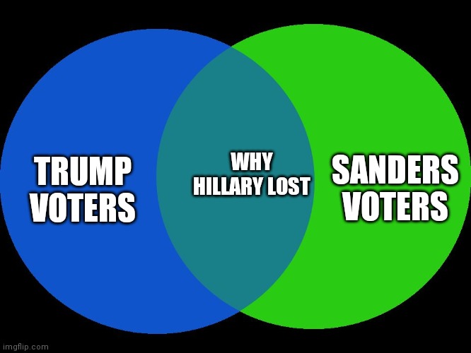 Venn Comparison | SANDERS VOTERS; WHY HILLARY LOST; TRUMP VOTERS | image tagged in venn comparison | made w/ Imgflip meme maker