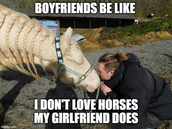 BOYFRIENDS BE LIKE; I DON'T LOVE HORSES MY GIRLFRIEND DOES | made w/ Imgflip meme maker