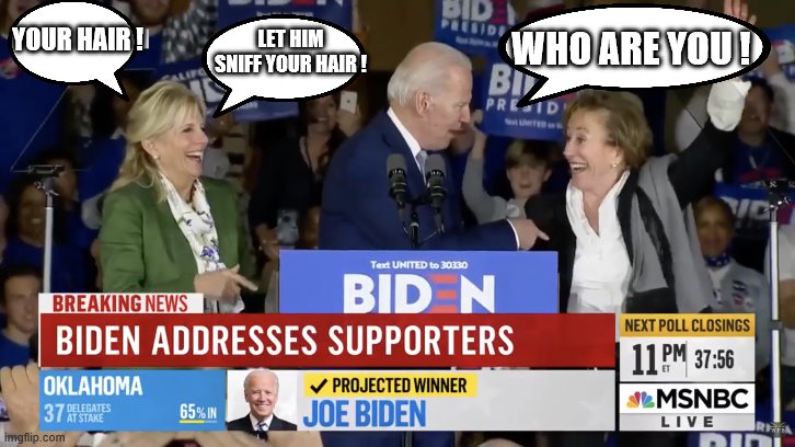 yep | YOUR HAIR ! LET HIM SNIFF YOUR HAIR ! WHO ARE YOU ! | image tagged in joe biden,democrats,2020 elections | made w/ Imgflip meme maker