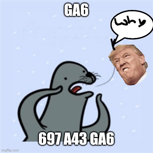 gay seal | GA6; 697 A43 GA6 | image tagged in gay seal | made w/ Imgflip meme maker