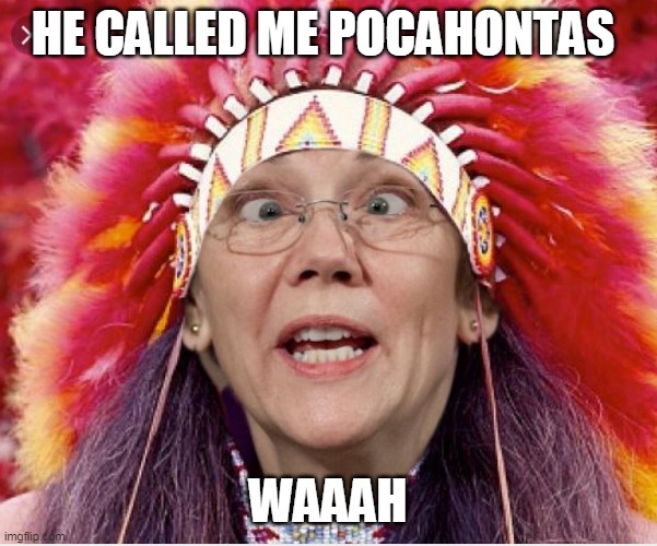 Pocahontas Warren | HE CALLED ME POCAHONTAS WAAAH | image tagged in pocahontas warren | made w/ Imgflip meme maker