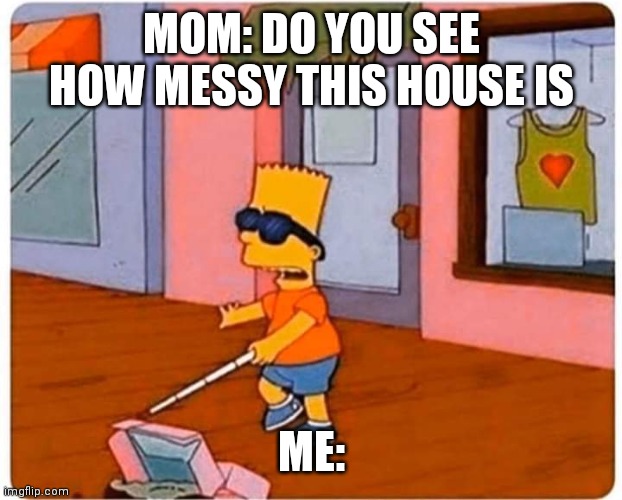 MOM: DO YOU SEE HOW MESSY THIS HOUSE IS; ME: | image tagged in moms | made w/ Imgflip meme maker
