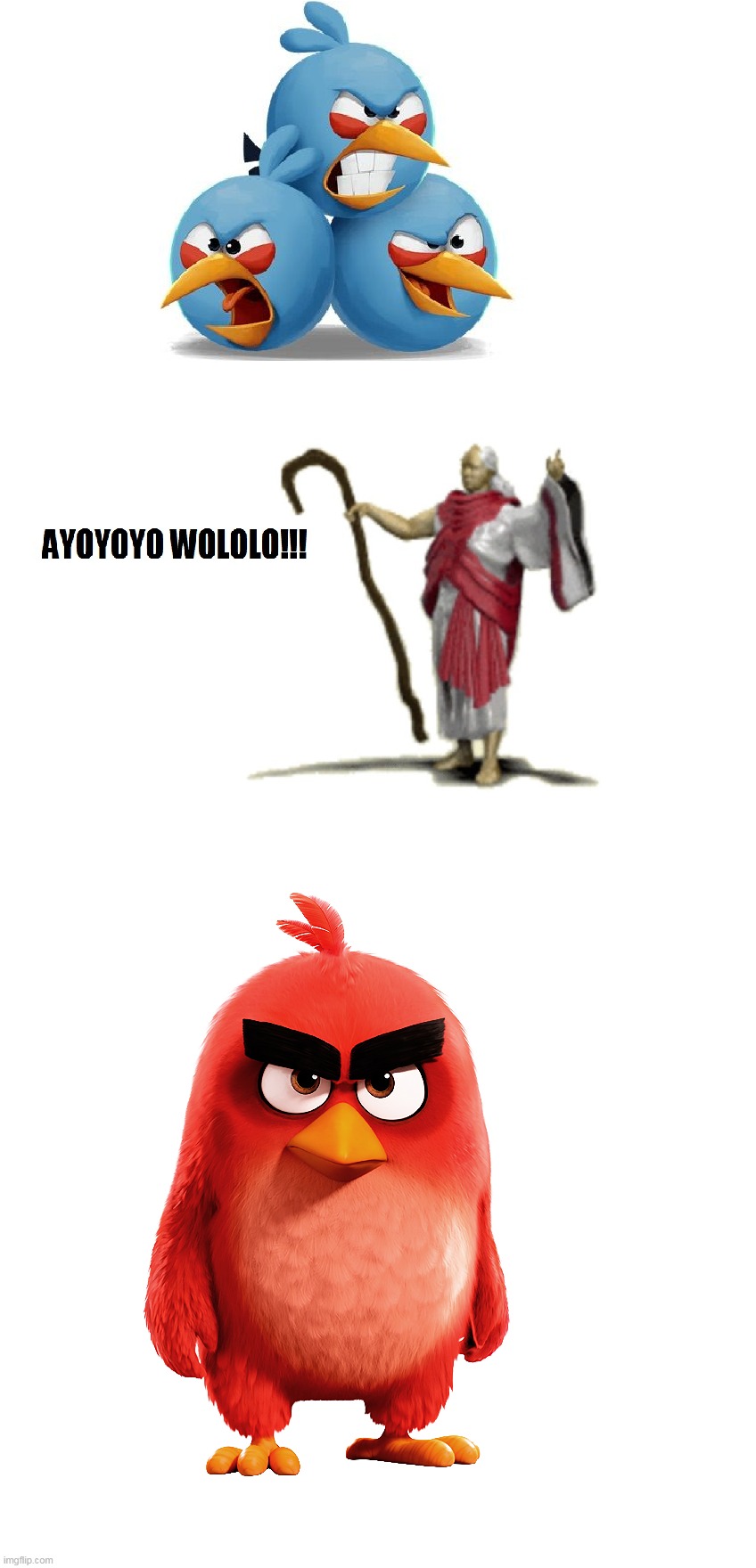 Ayoyoyo Wololo Meme #1 | image tagged in memes,angry birds,age of empires,ayoyoyo,wololo | made w/ Imgflip meme maker