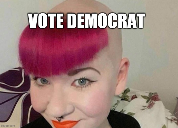 VOTE DEMOCRAT | made w/ Imgflip meme maker