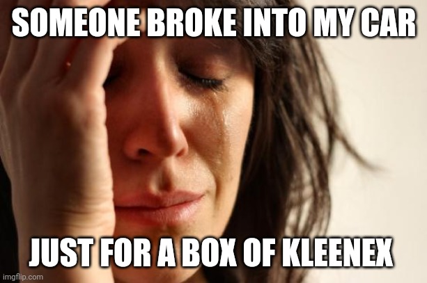 First World Problems Meme | SOMEONE BROKE INTO MY CAR; JUST FOR A BOX OF KLEENEX | image tagged in memes,first world problems | made w/ Imgflip meme maker