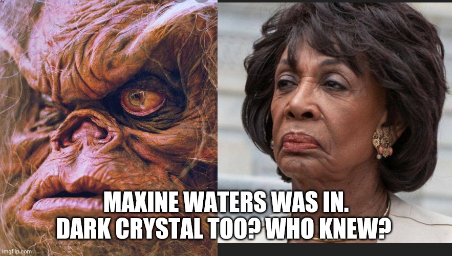 MAXINE WATERS WAS IN. DARK CRYSTAL TOO? WHO KNEW? | made w/ Imgflip meme maker