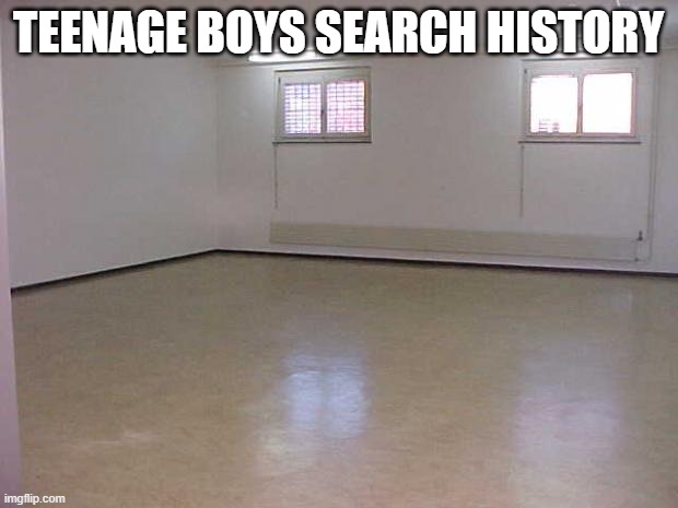 Empty Room | TEENAGE BOYS SEARCH HISTORY | image tagged in empty room | made w/ Imgflip meme maker