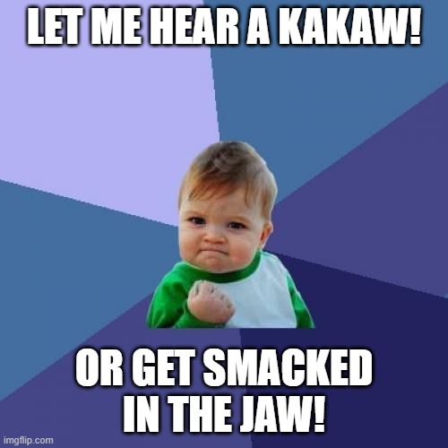 Success Kid Meme | LET ME HEAR A KAKAW! OR GET SMACKED IN THE JAW! | image tagged in memes,success kid | made w/ Imgflip meme maker