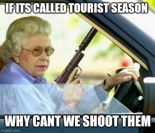 Tourist season | IF ITS CALLED TOURIST SEASON; WHY CANT WE SHOOT THEM | image tagged in hunting | made w/ Imgflip meme maker