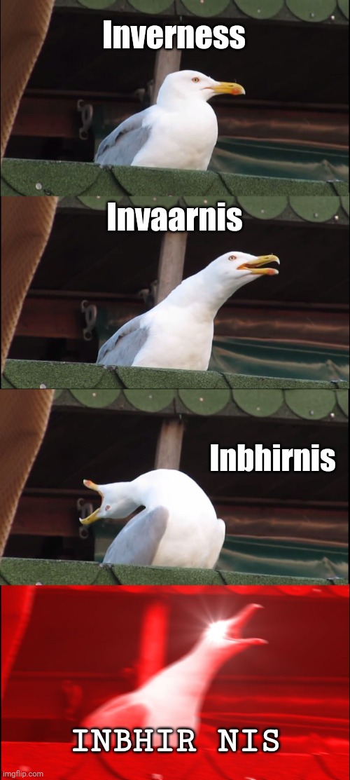Inhaling Seagull | Inverness; Invaarnis; Inbhirnis; INBHIR NIS | image tagged in memes,inhaling seagull | made w/ Imgflip meme maker