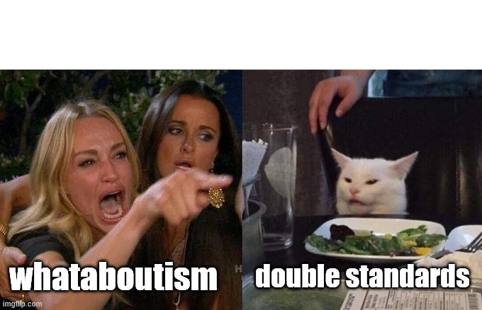 Woman Yelling At Cat Meme | whataboutism double standards | image tagged in memes,woman yelling at cat | made w/ Imgflip meme maker