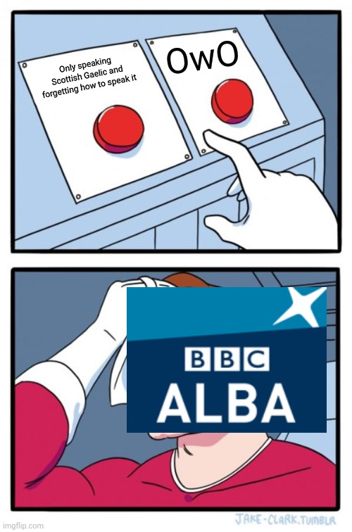 BBC Alba | OwO; Only speaking Scottish Gaelic and forgetting how to speak it | image tagged in memes,two buttons | made w/ Imgflip meme maker