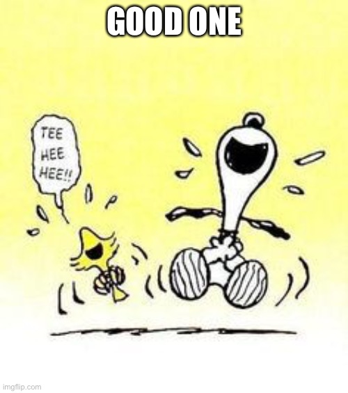 Snoopy and Woodstock laughing | GOOD ONE | image tagged in snoopy and woodstock laughing | made w/ Imgflip meme maker