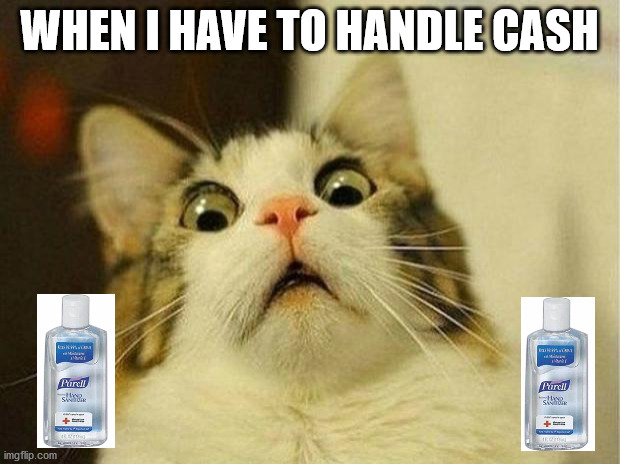 Scared Cat | WHEN I HAVE TO HANDLE CASH | image tagged in memes,scared cat | made w/ Imgflip meme maker