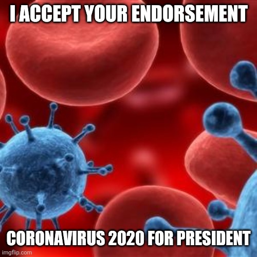 virus  | I ACCEPT YOUR ENDORSEMENT CORONAVIRUS 2020 FOR PRESIDENT | image tagged in virus | made w/ Imgflip meme maker