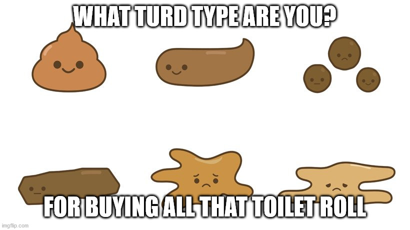 Toilet roll! | WHAT TURD TYPE ARE YOU? FOR BUYING ALL THAT TOILET ROLL | image tagged in toilet paper,turd,coronavirus | made w/ Imgflip meme maker