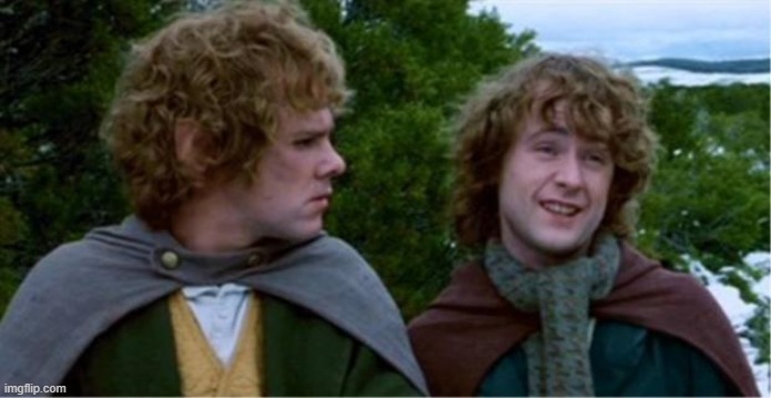 Merry and Pippin | image tagged in merry and pippin | made w/ Imgflip meme maker