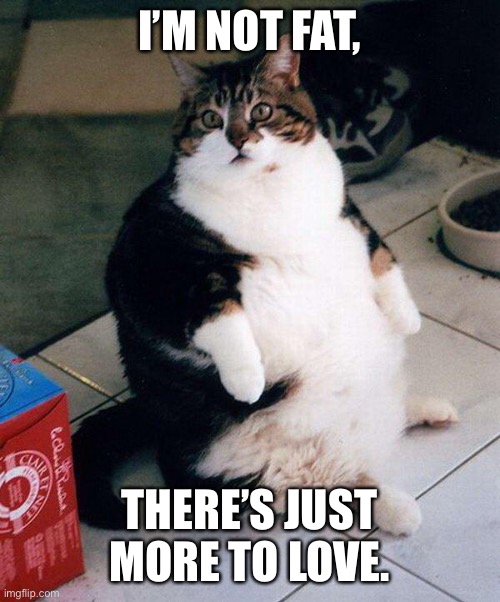 fat cat | I’M NOT FAT, THERE’S JUST MORE TO LOVE. | image tagged in fat cat | made w/ Imgflip meme maker