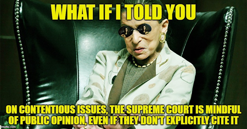 What if I told you: The Supreme Court looks at polls on the DL | image tagged in supreme court,scotus,abortion,pro-choice,ruth bader ginsburg,what if i told you | made w/ Imgflip meme maker
