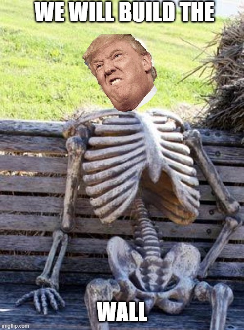 Waiting Skeleton | WE WILL BUILD THE; WALL | image tagged in memes,waiting skeleton | made w/ Imgflip meme maker