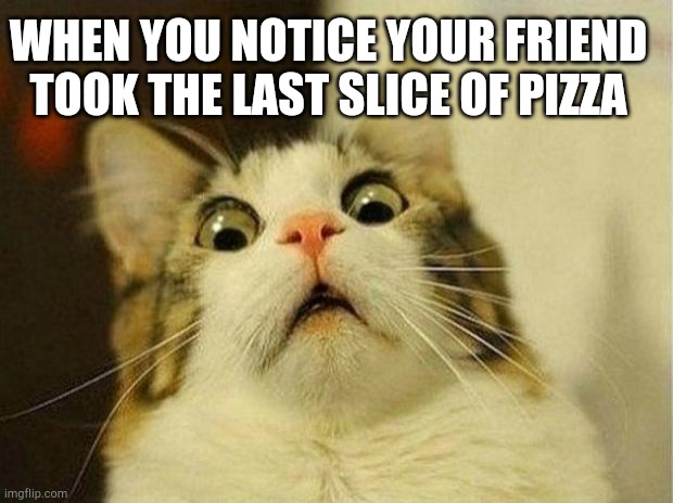 Scared Cat | WHEN YOU NOTICE YOUR FRIEND TOOK THE LAST SLICE OF PIZZA | image tagged in memes,scared cat | made w/ Imgflip meme maker