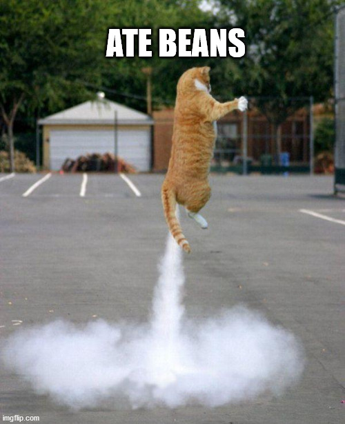 Rocket cat | ATE BEANS | image tagged in rocket cat | made w/ Imgflip meme maker