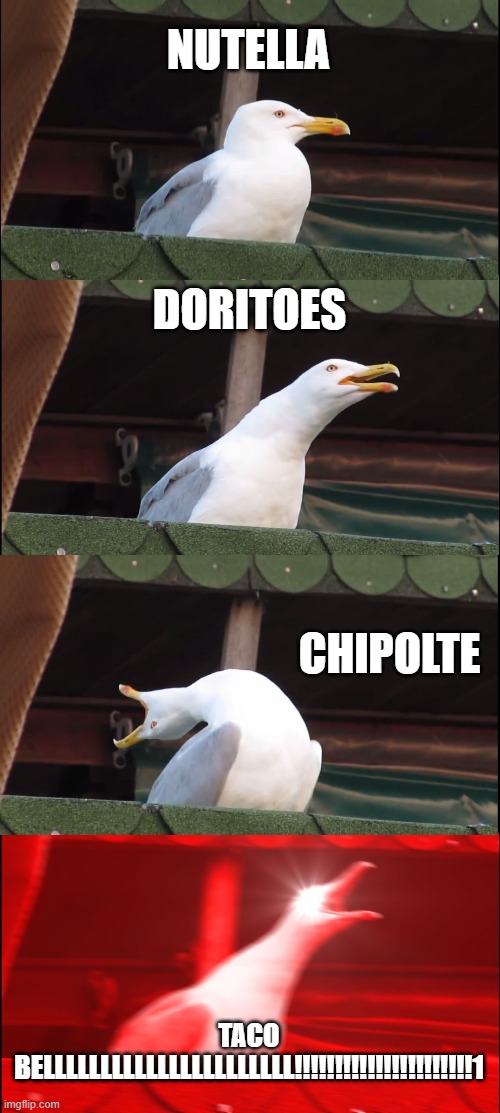 Inhaling Seagull | NUTELLA; DORITOES; CHIPOLTE; TACO BELLLLLLLLLLLLLLLLLLLLLL!!!!!!!!!!!!!!!!!!!!!!1 | image tagged in memes,inhaling seagull | made w/ Imgflip meme maker