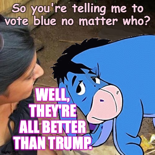 WELL, THEY'RE ALL BETTER THAN TRUMP. | made w/ Imgflip meme maker