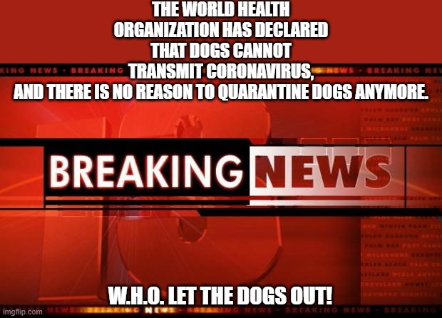 breaking news | THE WORLD HEALTH ORGANIZATION HAS DECLARED THAT DOGS CANNOT TRANSMIT CORONAVIRUS, AND THERE IS NO REASON TO QUARANTINE DOGS ANYMORE. W.H.O. LET THE DOGS OUT! | image tagged in breaking news | made w/ Imgflip meme maker