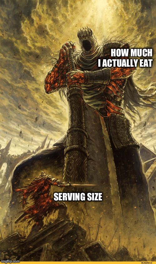 Fantasy Painting | HOW MUCH I ACTUALLY EAT; SERVING SIZE | image tagged in fantasy painting | made w/ Imgflip meme maker