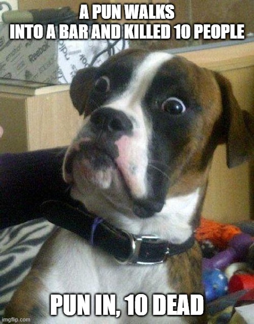 Surprised Dog | A PUN WALKS INTO A BAR AND KILLED 10 PEOPLE; PUN IN, 10 DEAD | image tagged in surprised dog | made w/ Imgflip meme maker