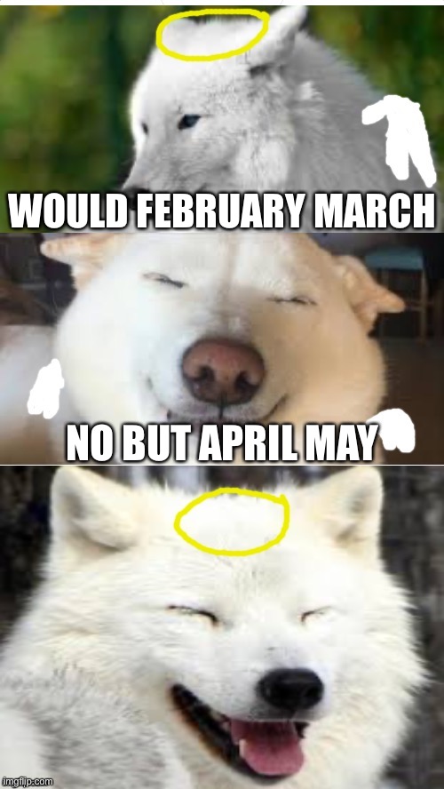 Bad pun Angel-Wolf | WOULD FEBRUARY MARCH; NO BUT APRIL MAY | image tagged in bad pug angel-wolf | made w/ Imgflip meme maker