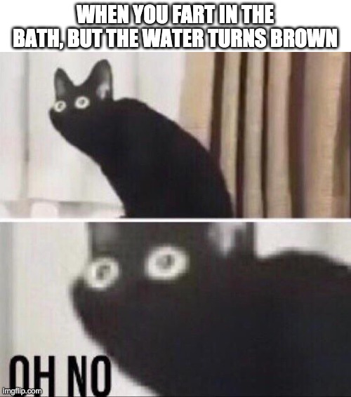 Oh no cat | WHEN YOU FART IN THE BATH, BUT THE WATER TURNS BROWN | image tagged in oh no cat | made w/ Imgflip meme maker