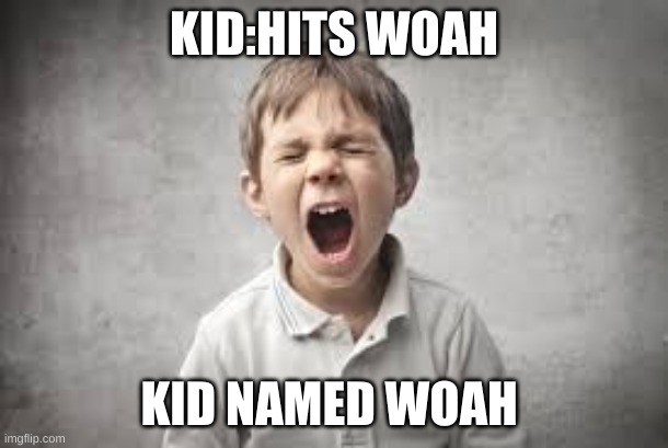 screaming kid | KID:HITS WOAH; KID NAMED WOAH | image tagged in screaming kid | made w/ Imgflip meme maker