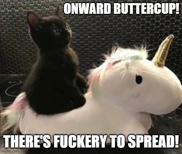 onward Buttercup | ONWARD BUTTERCUP! THERE'S FUCKERY TO SPREAD! | image tagged in cat,unicorn,fuckery,onward buttercup | made w/ Imgflip meme maker