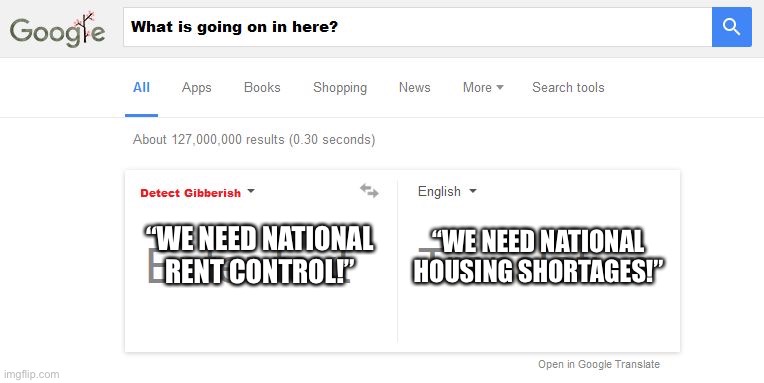 Google Translate Gibberish | “WE NEED NATIONAL HOUSING SHORTAGES!”; “WE NEED NATIONAL RENT CONTROL!” | image tagged in google translate gibberish | made w/ Imgflip meme maker