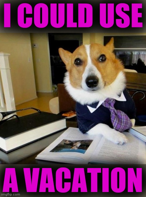 Lawyer Corgi Dog | I COULD USE A VACATION | image tagged in lawyer corgi dog | made w/ Imgflip meme maker