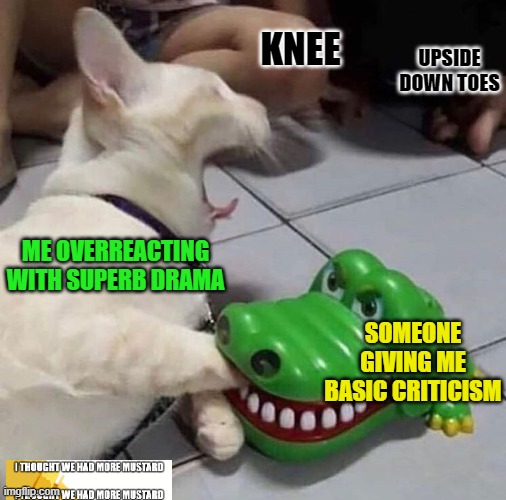 Criticism Causes Faked Drama: A Scientific Study | KNEE; UPSIDE DOWN TOES; ME OVERREACTING WITH SUPERB DRAMA; SOMEONE GIVING ME BASIC CRITICISM | image tagged in criticism,cat,drama | made w/ Imgflip meme maker