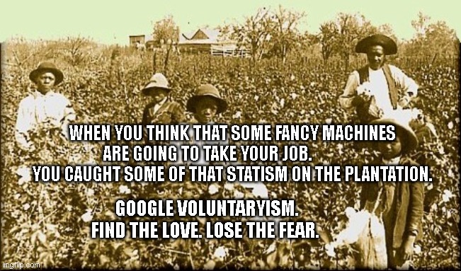 cotton slaves | WHEN YOU THINK THAT SOME FANCY MACHINES ARE GOING TO TAKE YOUR JOB.               YOU CAUGHT SOME OF THAT STATISM ON THE PLANTATION. GOOGLE VOLUNTARYISM. FIND THE LOVE. LOSE THE FEAR. | image tagged in cotton slaves | made w/ Imgflip meme maker