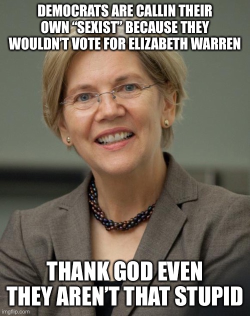 Elizabeth Warren | DEMOCRATS ARE CALLIN THEIR OWN “SEXIST” BECAUSE THEY WOULDN’T VOTE FOR ELIZABETH WARREN; THANK GOD EVEN THEY AREN’T THAT STUPID | image tagged in elizabeth warren | made w/ Imgflip meme maker