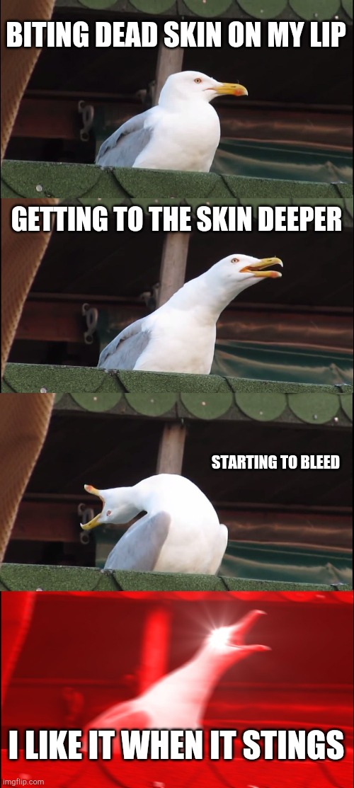 Inhaling Seagull Meme | BITING DEAD SKIN ON MY LIP; GETTING TO THE SKIN DEEPER; STARTING TO BLEED; I LIKE IT WHEN IT STINGS | image tagged in memes,inhaling seagull | made w/ Imgflip meme maker