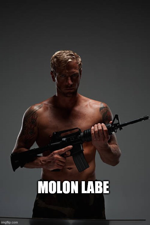 Come and get it | MOLON LABE | image tagged in come and get it,cold dead hands | made w/ Imgflip meme maker