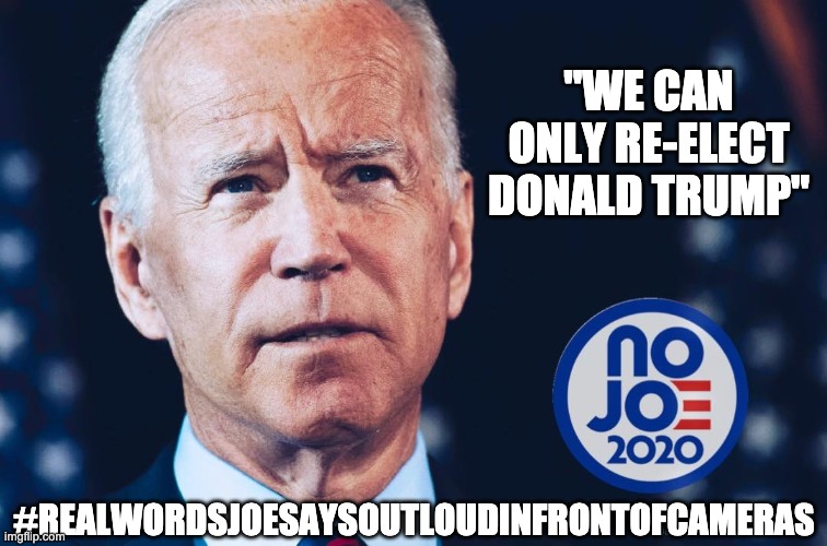 No Joe - ReElect Trump | "WE CAN ONLY RE-ELECT DONALD TRUMP"; #REALWORDSJOESAYSOUTLOUDINFRONTOFCAMERAS | image tagged in deep thoughts - no joe 2020,election 2020,no joe,joe biden | made w/ Imgflip meme maker