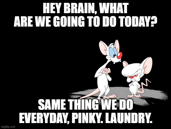 Pinky And The Brain | HEY BRAIN, WHAT ARE WE GOING TO DO TODAY? SAME THING WE DO EVERYDAY, PINKY. LAUNDRY. | image tagged in pinky and the brain | made w/ Imgflip meme maker