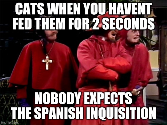 Spanish Inquisition | CATS WHEN YOU HAVENT FED THEM FOR 2 SECONDS; NOBODY EXPECTS THE SPANISH INQUISITION | image tagged in spanish inquisition | made w/ Imgflip meme maker